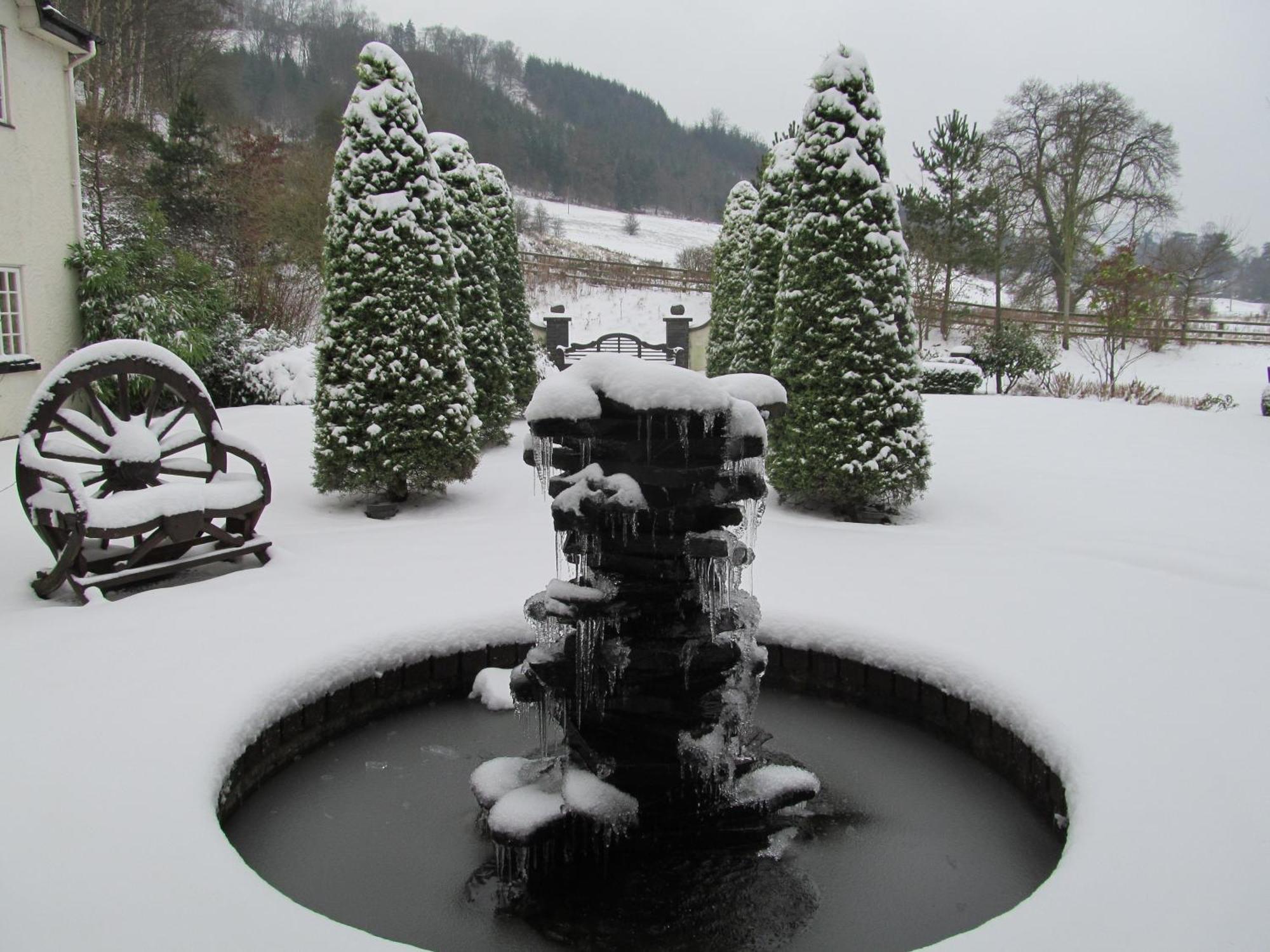 Wild Pheasant Hotel & Spa Llangollen Εξωτερικό φωτογραφία